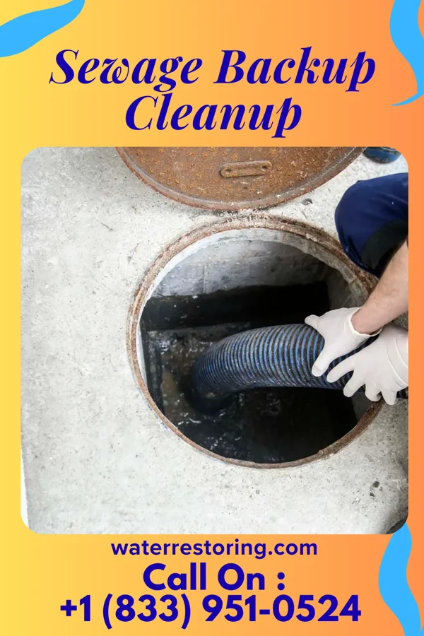 Sewage Backup Cleanup in Cumberland City, TN